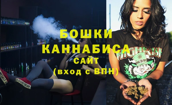 PSILOCYBIN Гусиноозёрск