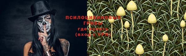 мяу мяу мука Балахна